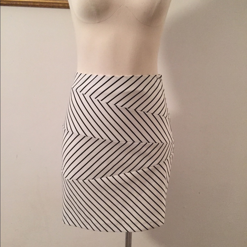 Cynthia Steffe Knit Skirt